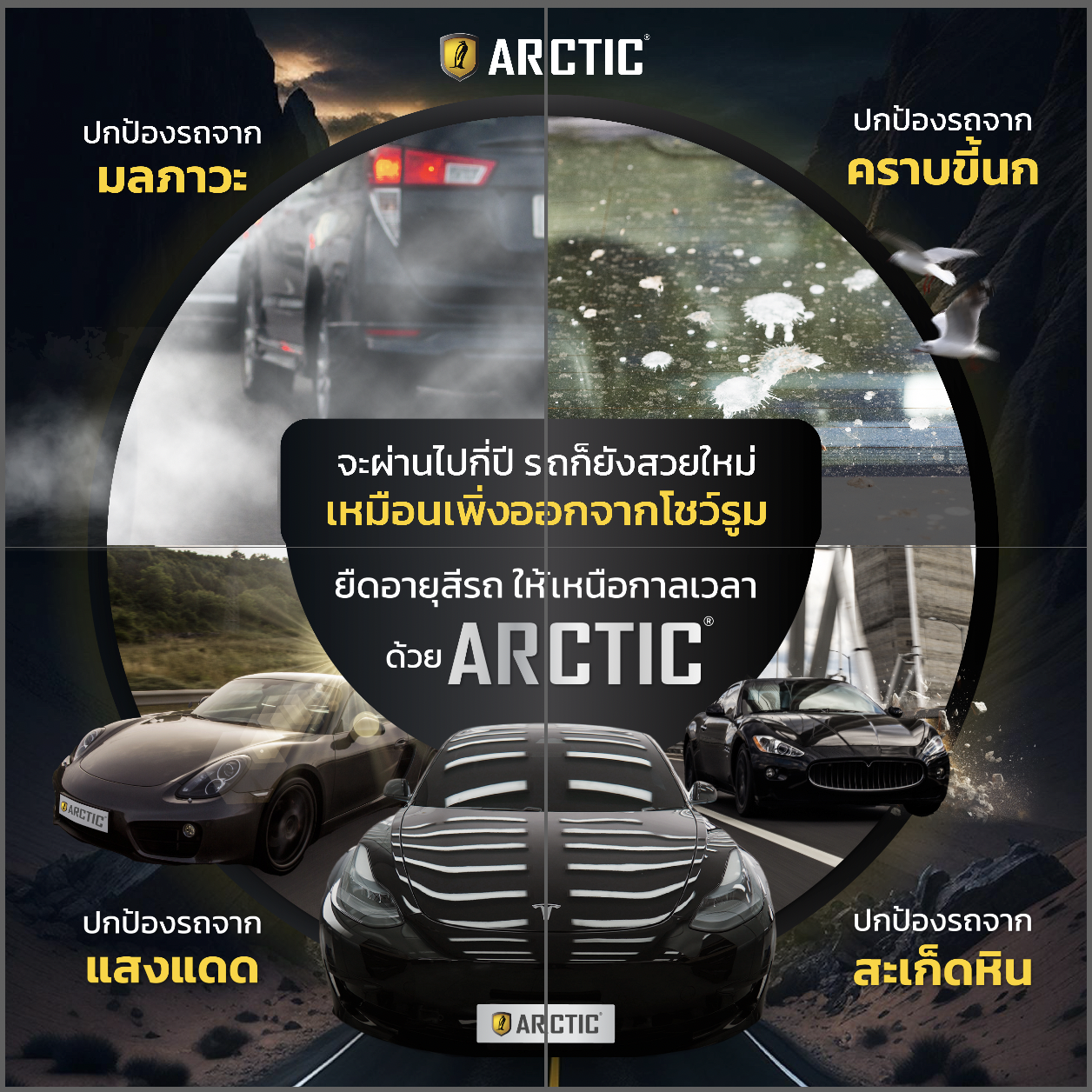 Arctic_Film_030866_A-รวม